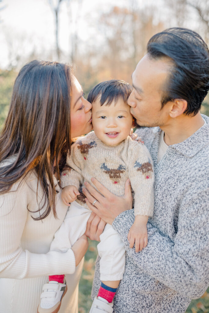 christmas tree mini sessions