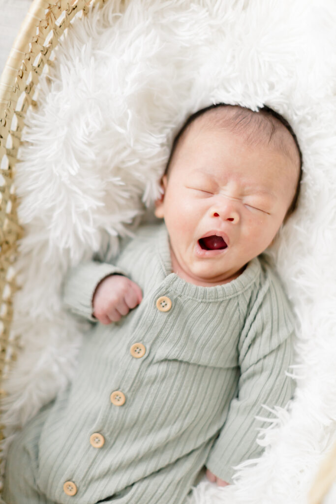 newborn photoshoot in Fairfield County
