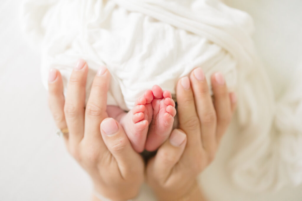 dog in newborn photos