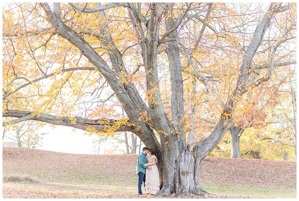 Fall maternity photo