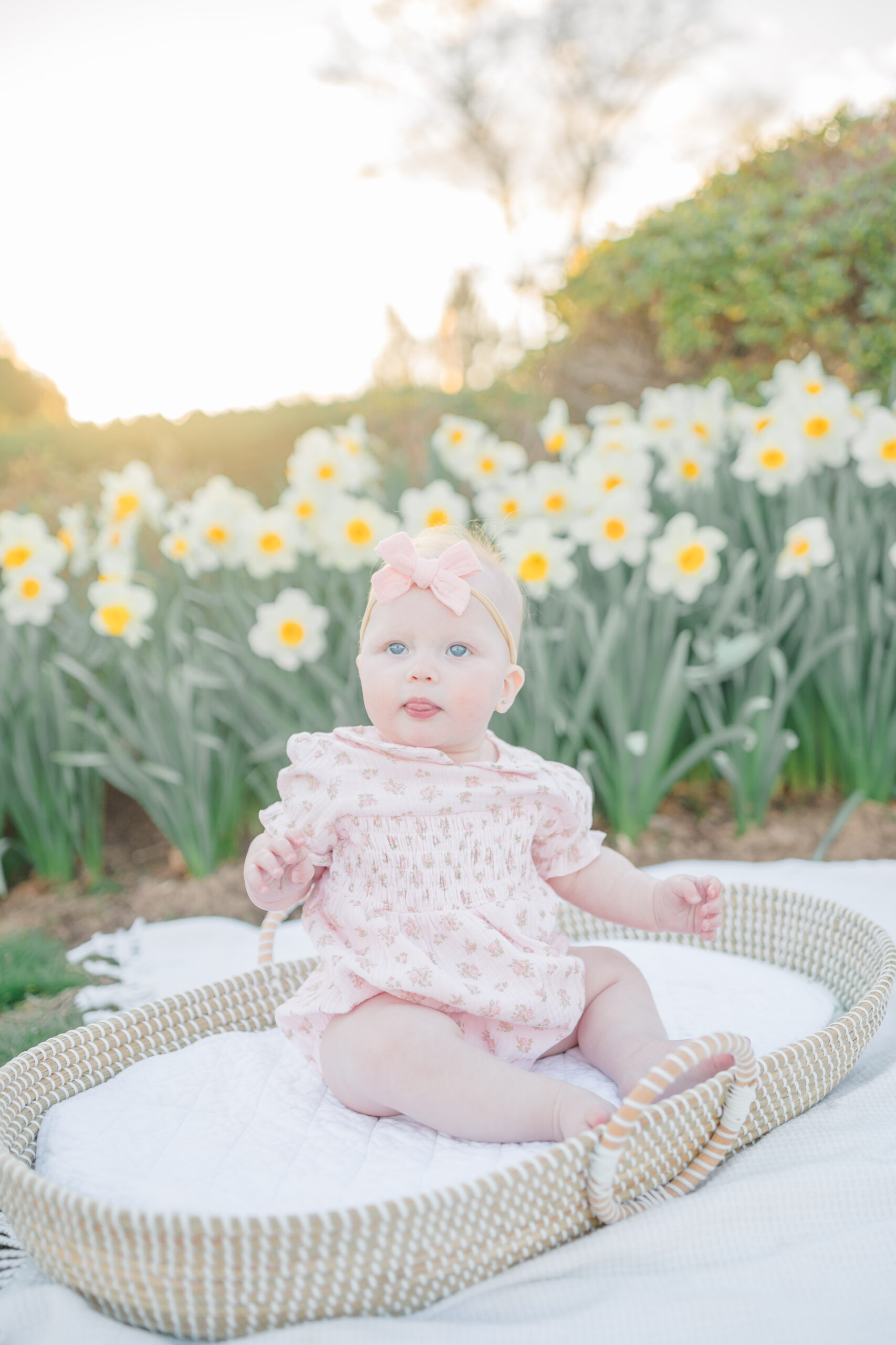 baby sitting in basket in front of daffodils in a connecticut park